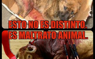 TORO = PERRO